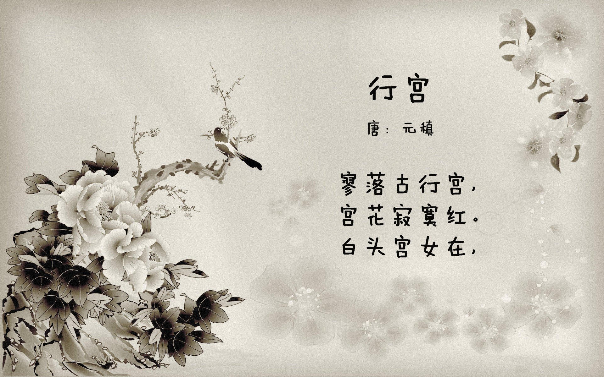 美国马术协会建立马匹基因数据库，促进马匹选育与训练。，美国马术比赛