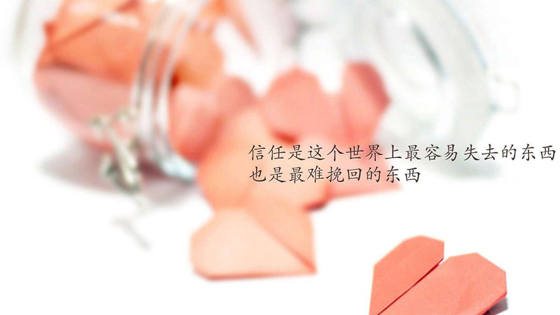 九游电脑版-诺里奇城阵容年轻，黄蜂军团盼冲超，诺里奇城市怎么样