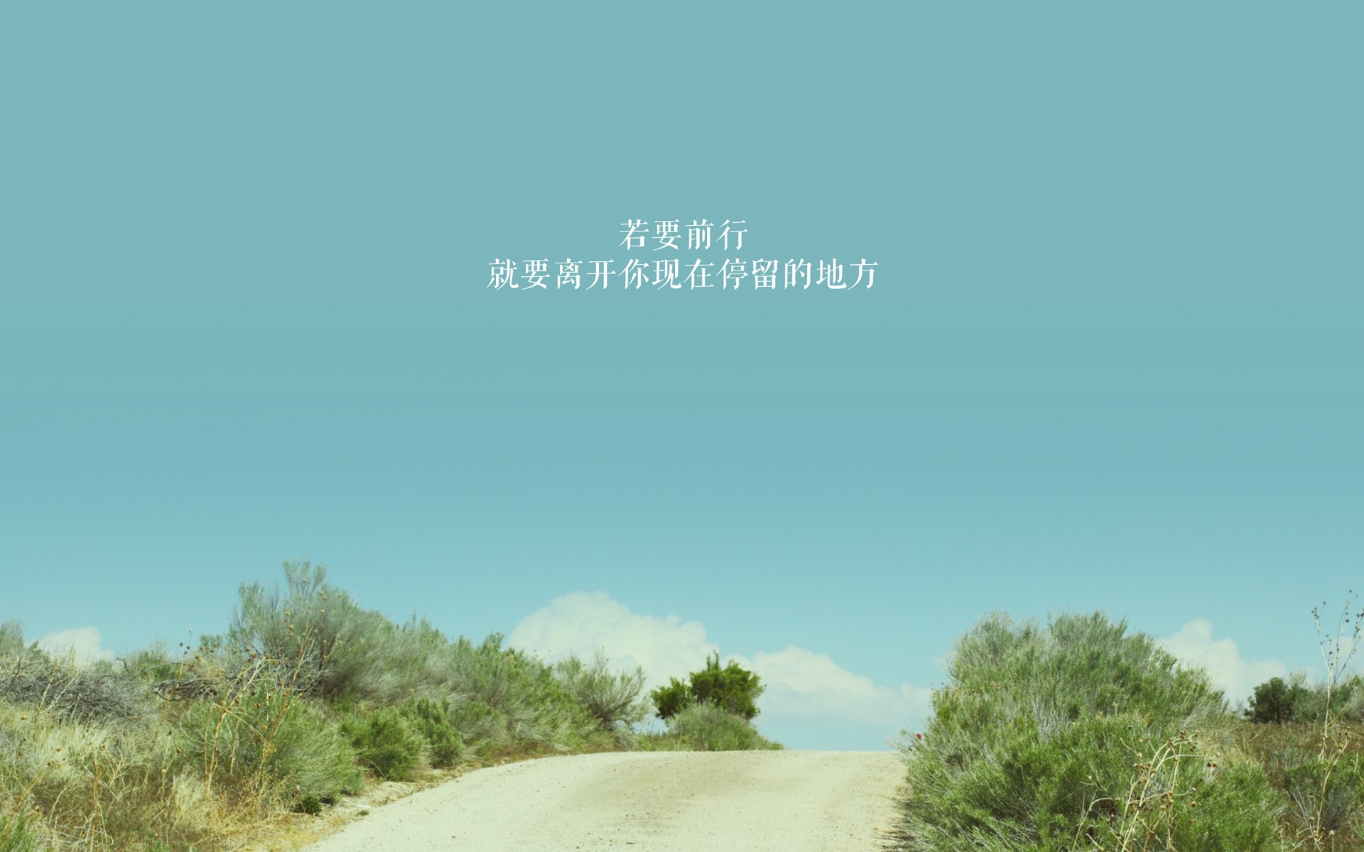 NBA球队青训教练员能力提升路径,nba教练团队的薪金怎么算