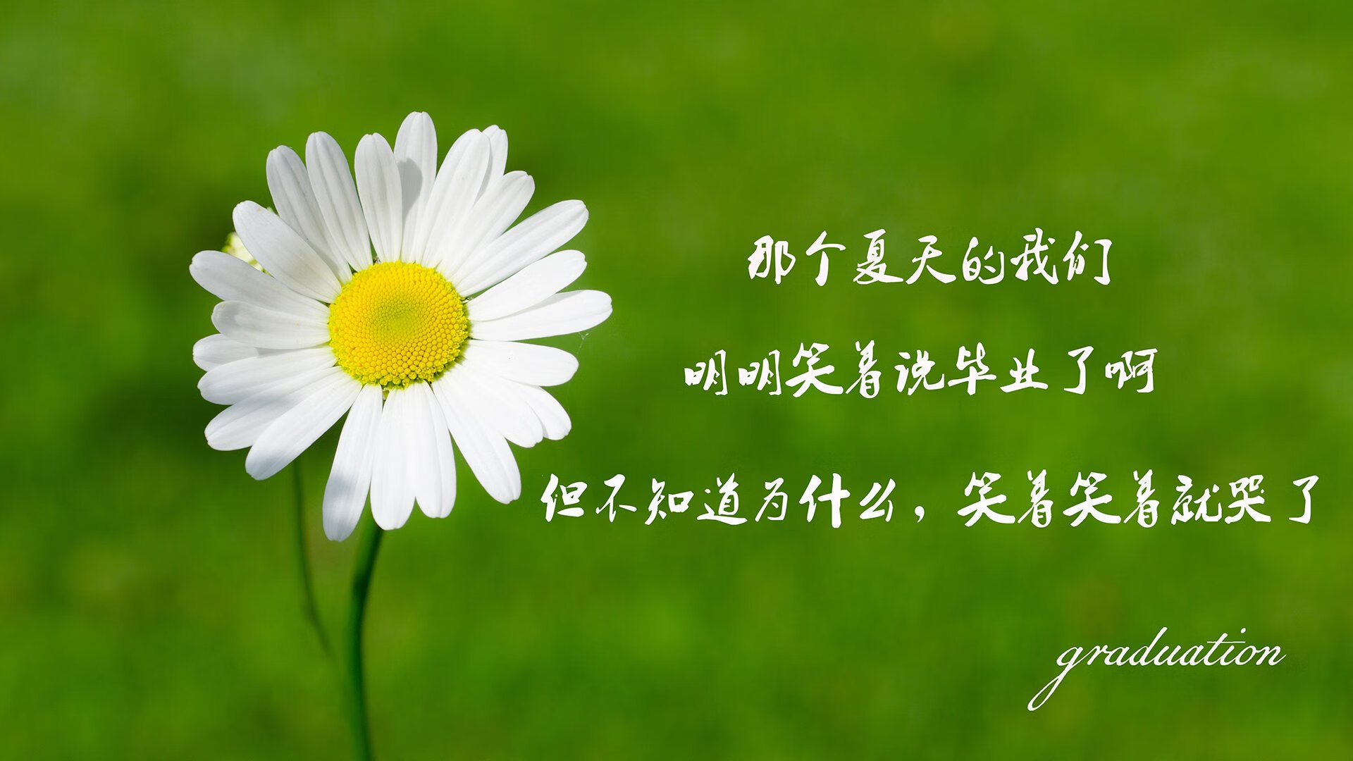 “在金牛区城北体育馆，舞者们以最完美的姿态迎接2025世界运动会运动舞蹈赛！”