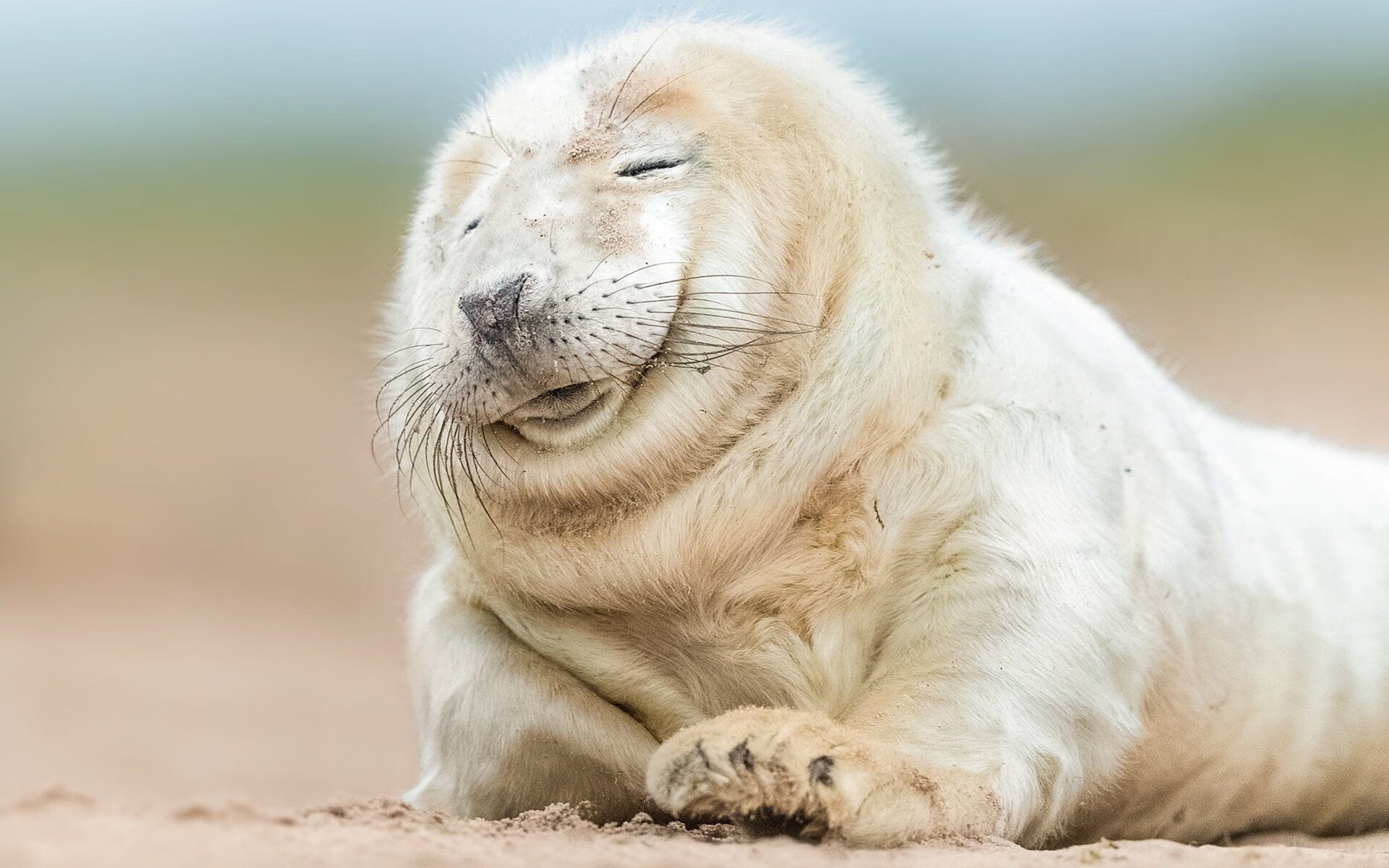 加拿大队在国际乒联混合团体世界杯中发挥的重要作用与贡献,加拿大乒乓球队员名单