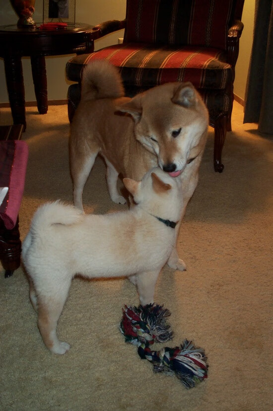 九游游戏中心-国际热身赛中国青年队爆冷 球迷热议教练战术，中国国家队 热身赛