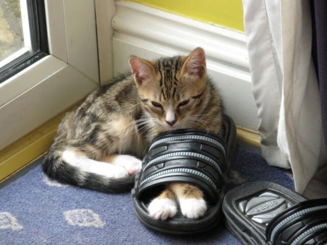 国际热身赛中国队迎战 球迷充满期待，国家队热身赛直播