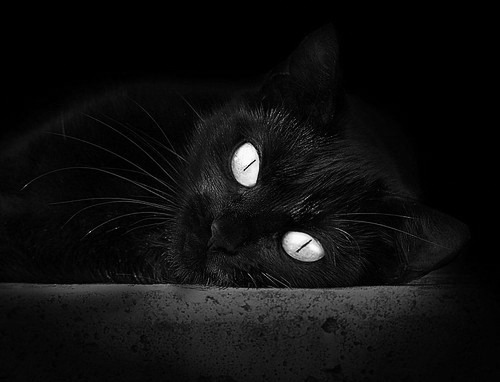 九游网页版官网-武术套路国家队制定新周期动作训练模板，武术套路全年训练计划