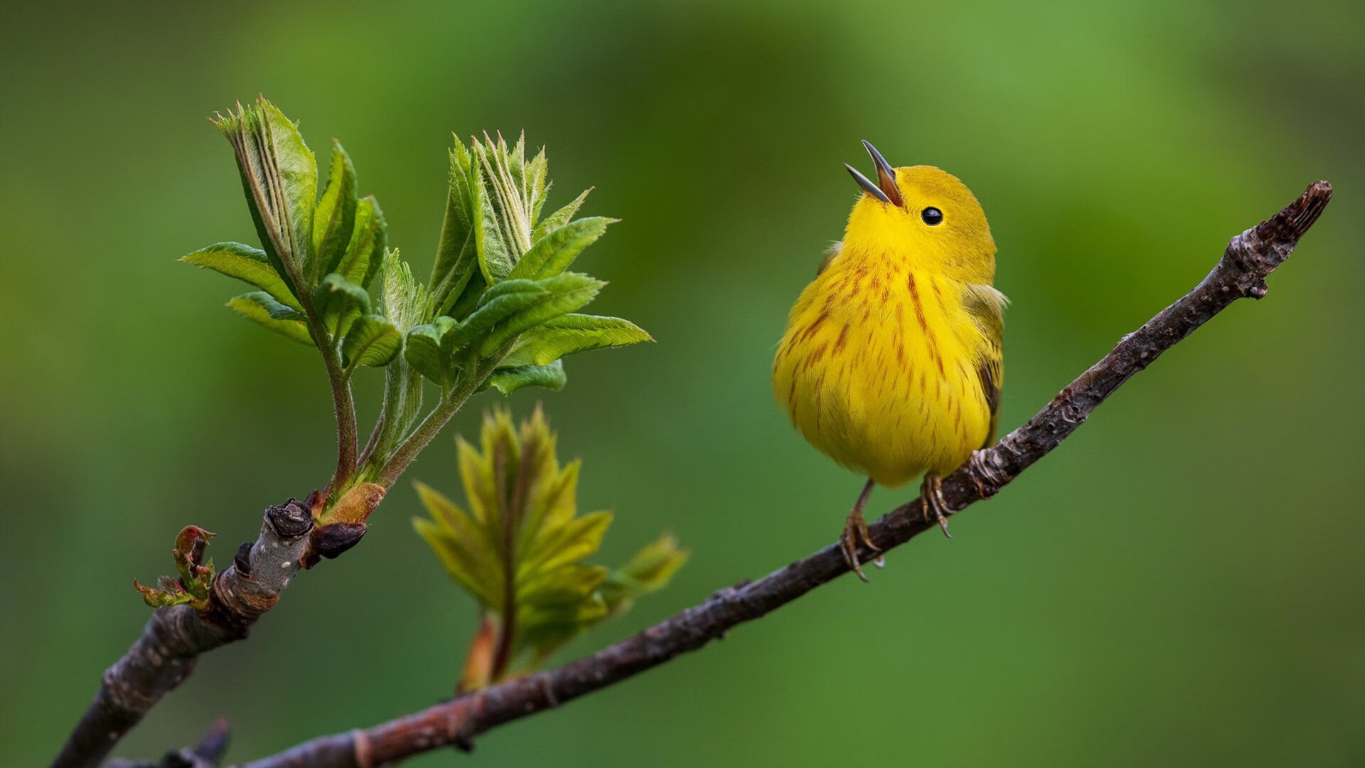 C罗助攻破门帮助球队晋级下一轮,c罗助攻数