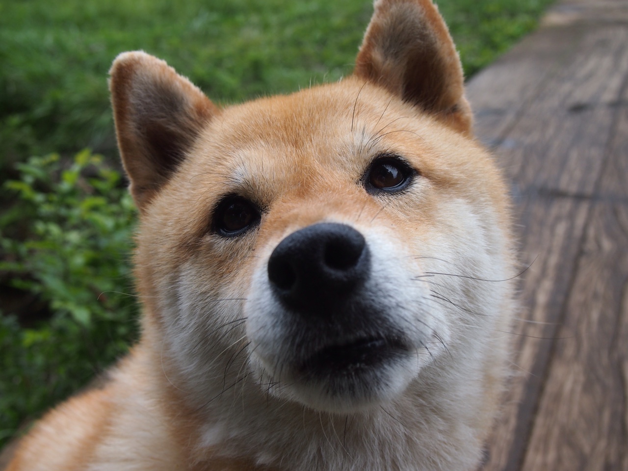 中超多支球队启用本土年轻中卫防线稳定性提升，中超中卫排名