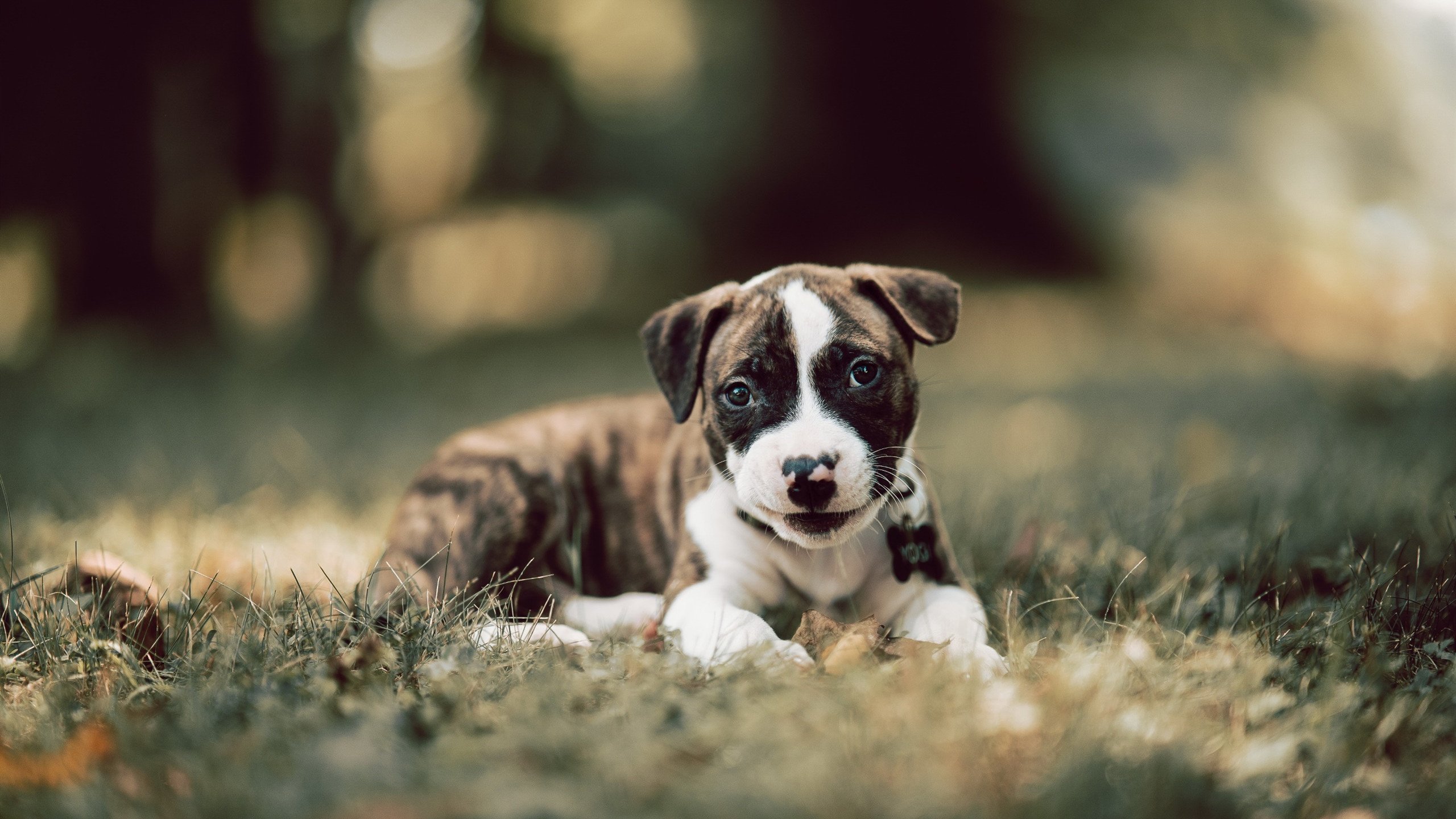 吉尔吉斯斯坦男篮在国际友谊赛中崭露头角，期待突破