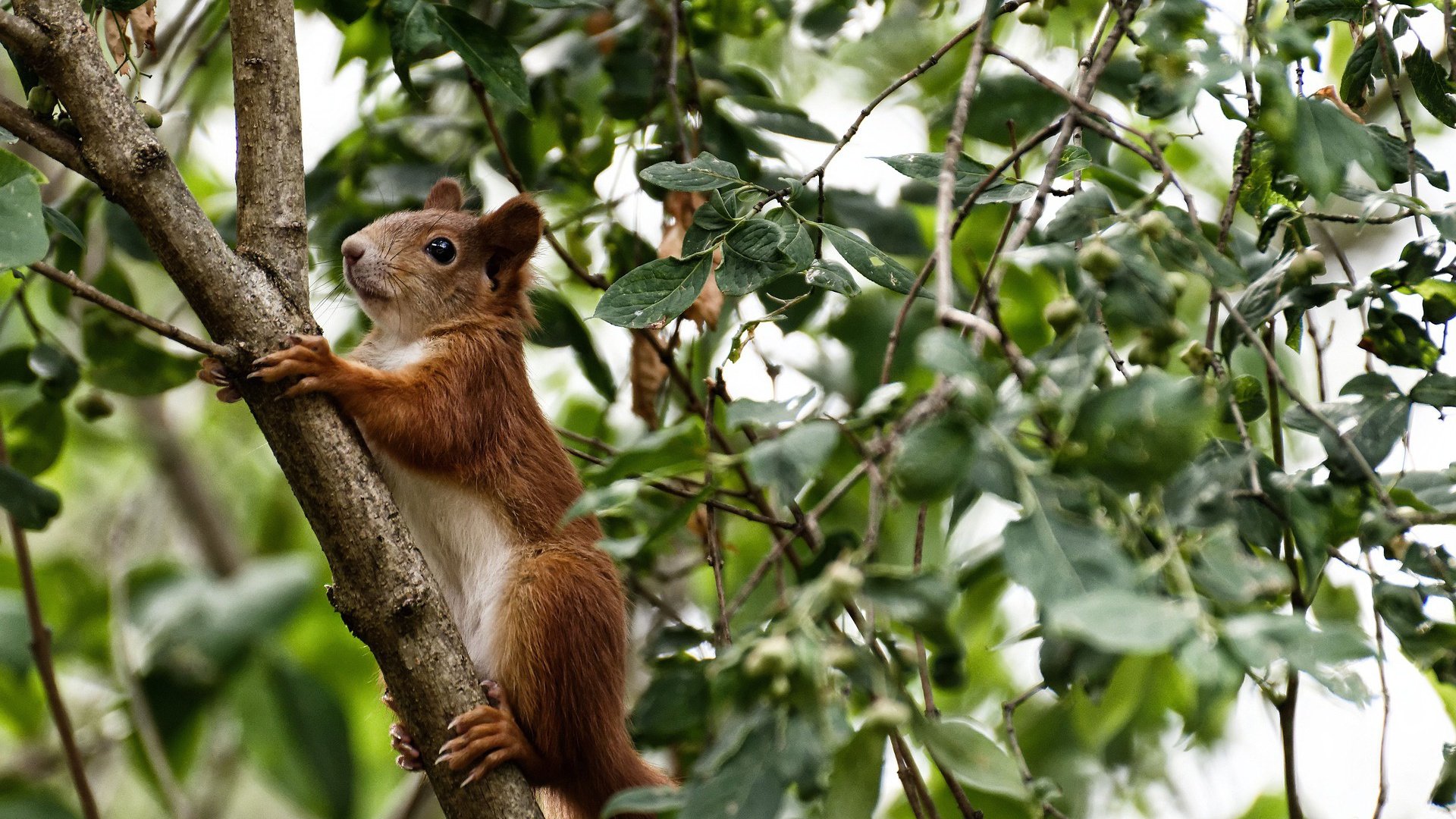 九游娱乐-女篮国家队增加个人技术专项训练提升关键能力，女篮新手团队训练方法