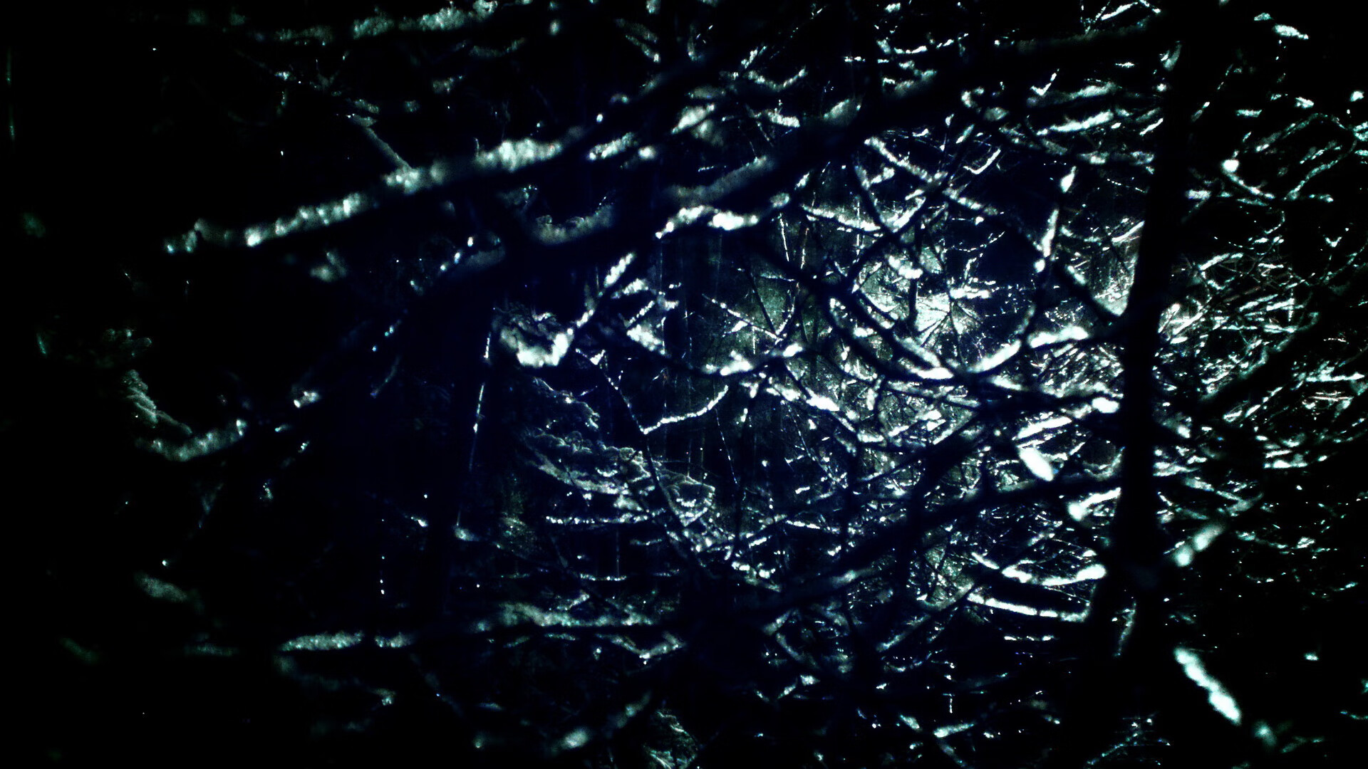 巴西国家队新星闪耀，世界杯预选赛中表现出色