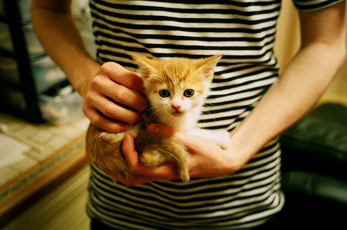 九游网页版官网入口-英超球队的全球品牌建设，英超球队名称