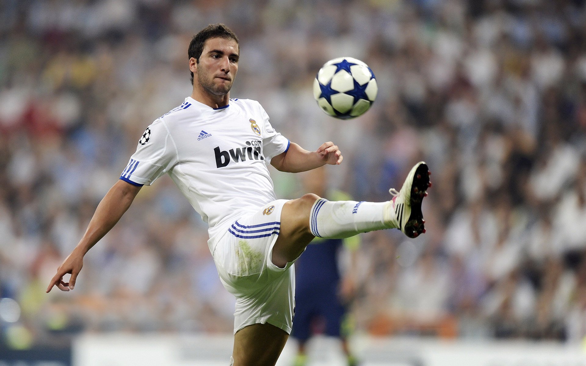 _凯尔特人展现团队精神，连胜不断_，凯尔特人报团